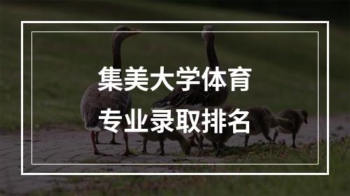 集美大学体育专业录取排名