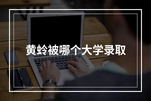 黄蛉被哪个大学录取