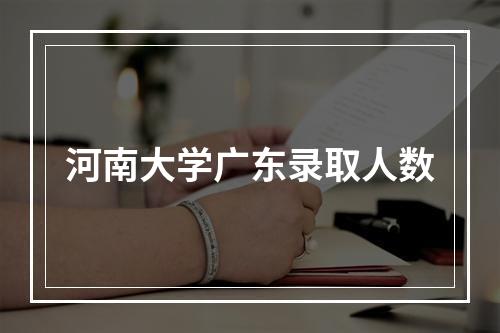 河南大学广东录取人数