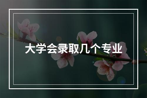 大学会录取几个专业