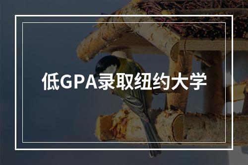 低GPA录取纽约大学