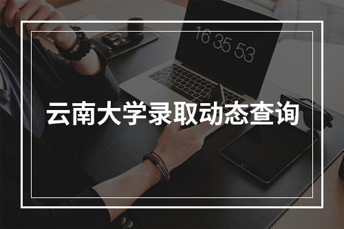 云南大学录取动态查询