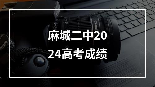 麻城二中2024高考成绩