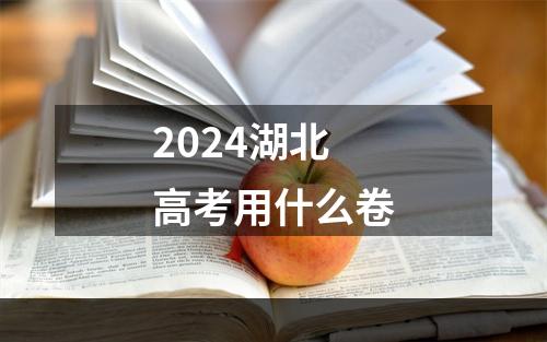 2024湖北高考用什么卷