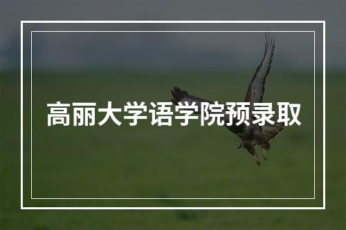 高丽大学语学院预录取