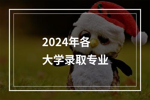 2024年各大学录取专业