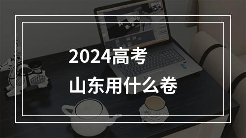 2024高考山东用什么卷