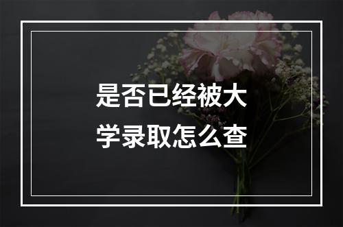 是否已经被大学录取怎么查