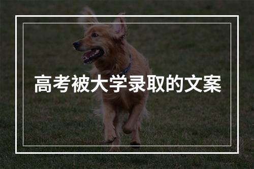 高考被大学录取的文案