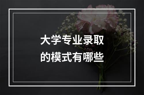 大学专业录取的模式有哪些