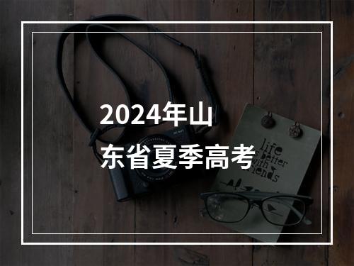 2024年山东省夏季高考