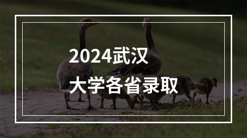 2024武汉大学各省录取