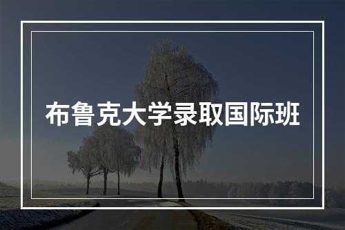 布鲁克大学录取国际班