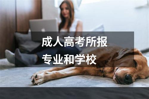 成人高考所报专业和学校