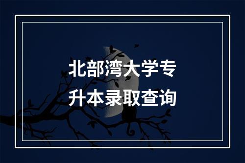 北部湾大学专升本录取查询