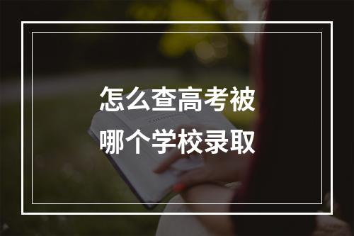 怎么查高考被哪个学校录取