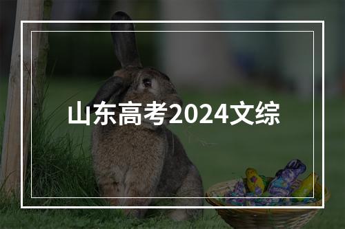 山东高考2024文综