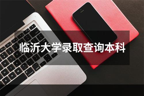 临沂大学录取查询本科