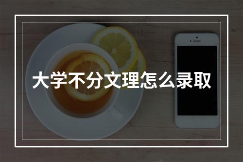 大学不分文理怎么录取