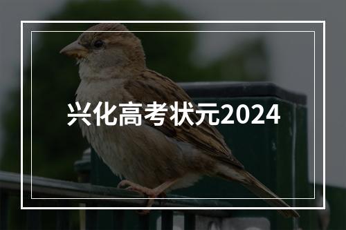 兴化高考状元2024