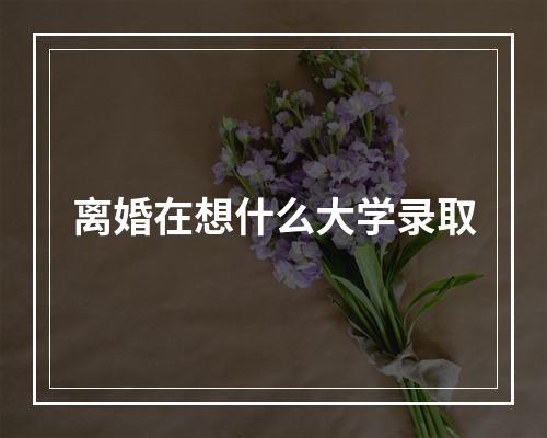 离婚在想什么大学录取