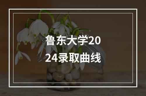 鲁东大学2024录取曲线