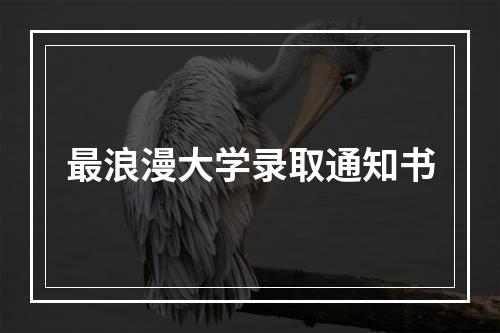 最浪漫大学录取通知书