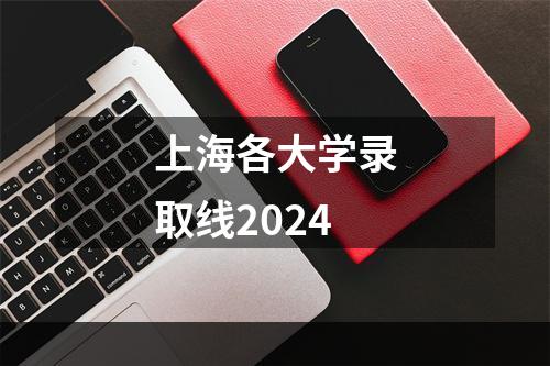 上海各大学录取线2024