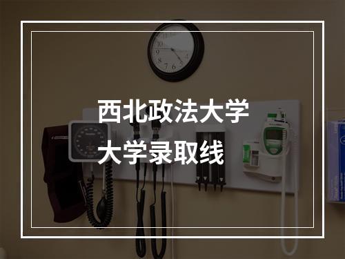 西北政法大学大学录取线