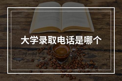 大学录取电话是哪个