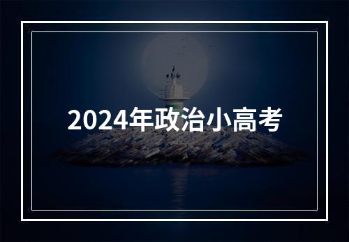 2024年政治小高考