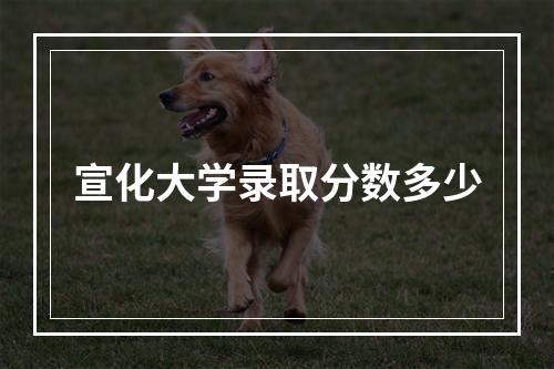 宣化大学录取分数多少