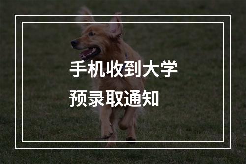 手机收到大学预录取通知