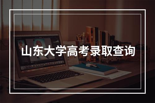 山东大学高考录取查询