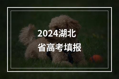 2024湖北省高考填报