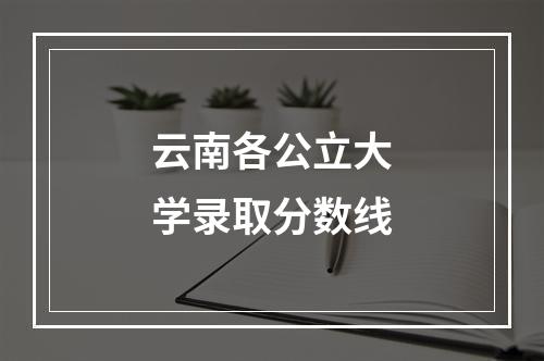 云南各公立大学录取分数线