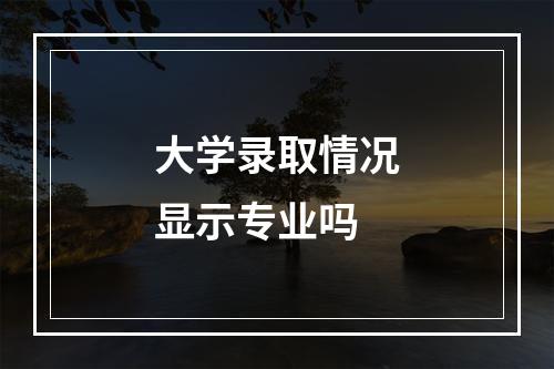 大学录取情况显示专业吗