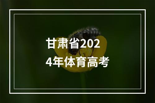 甘肃省2024年体育高考