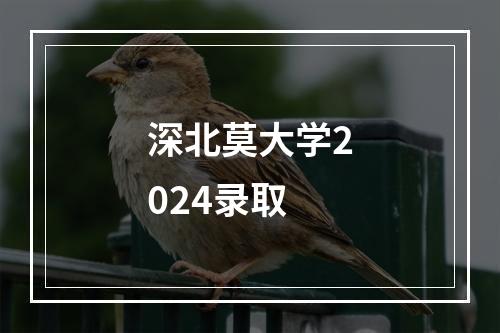 深北莫大学2024录取