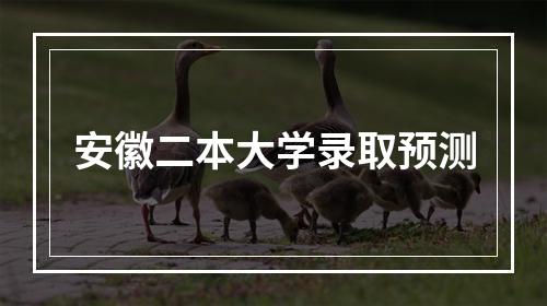 安徽二本大学录取预测