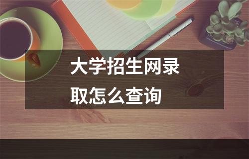 大学招生网录取怎么查询