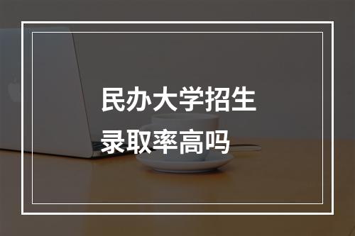 民办大学招生录取率高吗