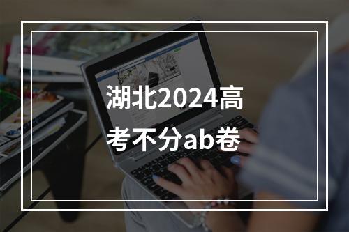 湖北2024高考不分ab卷