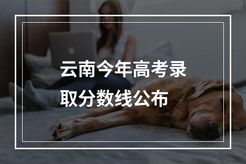 云南今年高考录取分数线公布