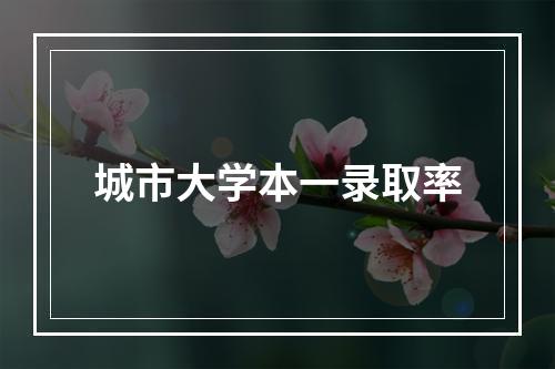 城市大学本一录取率