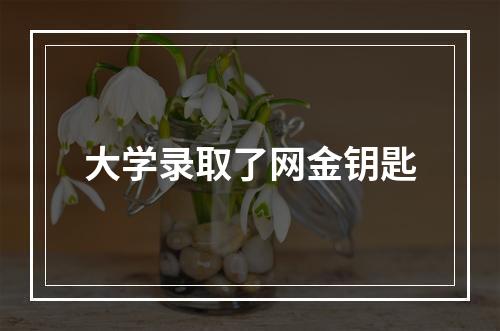 大学录取了网金钥匙