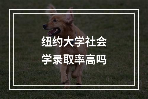 纽约大学社会学录取率高吗