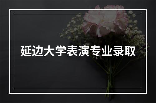 延边大学表演专业录取