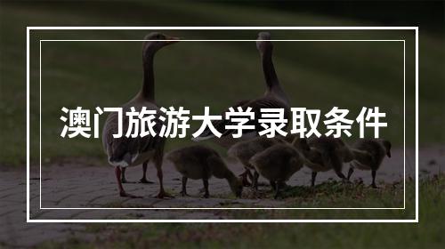 澳门旅游大学录取条件