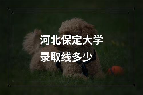 河北保定大学录取线多少